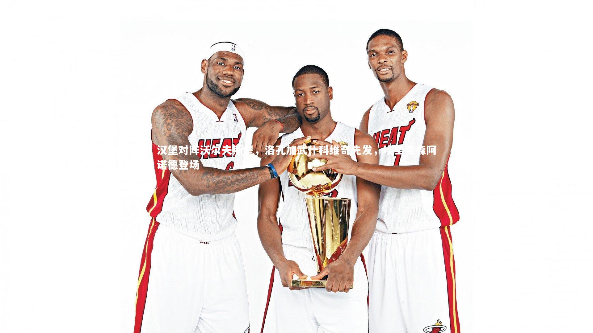 汉堡对阵沃尔夫斯堡，洛孔加武什科维奇先发，埃里克森阿诺德登场